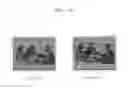 Fig. 10 - High resolution autostereoscopic display apparatus with interlaced image