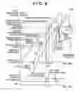 Fig. 09 - IMAGE FORMING APPARATUS