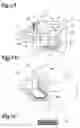 Fig. 02 - IMAGE FORMING APPARATUS