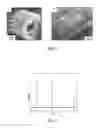 Fig. 02 - Methods of fabricating nanoscale-to-microscale structures