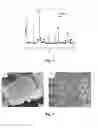 Fig. 04 - Methods of fabricating nanoscale-to-microscale structures