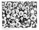 Fig. 01 - Spherical carbons and method for preparing the same
