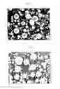 Fig. 02 - Spherical carbons and method for preparing the same