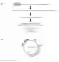 Fig. 01 - Global regulator of morphogenesis and pathogenicity in dimorphic fungi and uses thereof