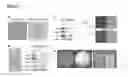 Fig. 04 - Global regulator of morphogenesis and pathogenicity in dimorphic fungi and uses thereof