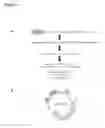 Fig. 07 - Global regulator of morphogenesis and pathogenicity in dimorphic fungi and uses thereof