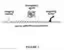 Fig. 02 - Compositions and methods for topical diagnostic and therapeutic transport