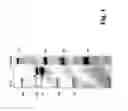 Fig. 02 - NOVEL DERMATOPHAGOIDES PROTEINS