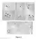 Fig. 02 - Culture Methods for Cryptosporidium