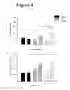 Fig. 06 - BIOCOMPATIBLE SCAFFOLDS AND ADIPOSE-DERIVED STEM CELLS