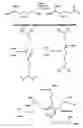 Fig. 02 - WOUND HEALING COMPOSITIONS AND METHODS USING TROPOELASTIN AND LYSYL OXIDASE