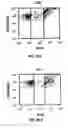 Fig. 07 - Methods For Altering T Cell Diversity