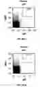 Fig. 16 - Methods For Altering T Cell Diversity