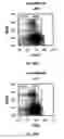 Fig. 20 - Methods For Altering T Cell Diversity
