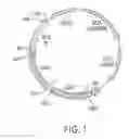 Fig. 02 - Nucleic acids encoding 7C10 and 16C10 CD80-specific antibodies