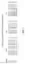 Fig. 06 - Hepatocyte growth factor (HGF) binding antibody