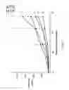 Fig. 08 - Hepatocyte growth factor (HGF) binding antibody