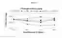 Fig. 02 - LFA-1 alpaha subunit antibodies and methods of use