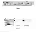 Fig. 12 - Glycosylated polypeptides produced in yeast mutants and methods of use thereof