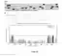 Fig. 23 - Glycosylated polypeptides produced in yeast mutants and methods of use thereof