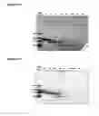 Fig. 83 - Protease resistant mutant of human HMGB1 high affinity binding domain Box-A (HMGB1 Box-A)