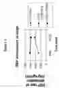 Fig. 02 - Methods for Improving Liver Clearance of Xenobiotic Substances in an Animal