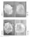 Fig. 02 - Formulations For Poorly Soluble Drugs