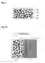 Fig. 02 - Extended release tablet formulations of flibanserin and method for manufacturing the same