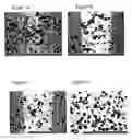 Fig. 08 - Spray freeze-dried compositions