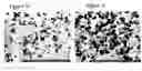 Fig. 09 - Spray freeze-dried compositions