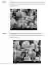 Fig. 02 - Inhalation Powder Containing the CGRP antagonist BIBN4096 and Process for the Preparation Thereof