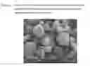Fig. 05 - Inhalation Powder Containing the CGRP antagonist BIBN4096 and Process for the Preparation Thereof