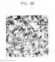 Fig. 08 - Water-Soluble Nanoparticles Stabilized with Multi-Functional Group Ligands and Method of Preparation Thereof