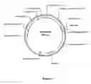Fig. 03 - Actin regulatory elements for use in plants