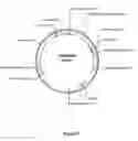 Fig. 04 - Actin regulatory elements for use in plants