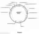 Fig. 05 - Actin regulatory elements for use in plants