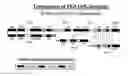 Fig. 01 - PUFA POLYKETIDE SYNTHASE SYSTEMS AND USES THEREOF