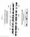 Fig. 04 - PUFA POLYKETIDE SYNTHASE SYSTEMS AND USES THEREOF