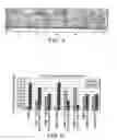 Fig. 04 - Fungal lipolytic enzymes, nucleic acids encoding, and uses thereof