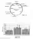 Fig. 07 - Fungal lipolytic enzymes, nucleic acids encoding, and uses thereof