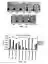 Fig. 08 - Fungal lipolytic enzymes, nucleic acids encoding, and uses thereof