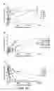 Fig. 16 - Fungal lipolytic enzymes, nucleic acids encoding, and uses thereof