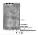 Fig. 20 - Fungal lipolytic enzymes, nucleic acids encoding, and uses thereof