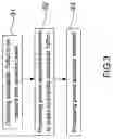 Fig. 06 - Plasma method for biomedical material onto hydrophilic polymer sheet