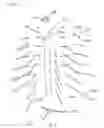 Fig. 03 - Artificial tree