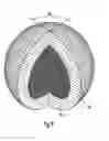 Fig. 08 - Media
