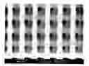 Fig. 01 - Photosensitive resin composition having a high refractive index