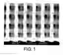 Fig. 02 - Photosensitive resin composition having a high refractive index