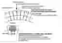 Fig. 01 - Methods and kits for early stage caries detection