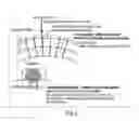 Fig. 02 - Methods and kits for early stage caries detection